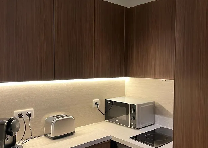 Premium 4 Pers - Parking Sur Demande Apartment